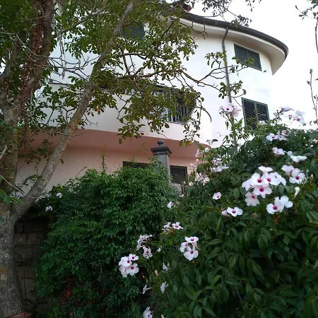 B&B Bene Bennios Iun F1441-3